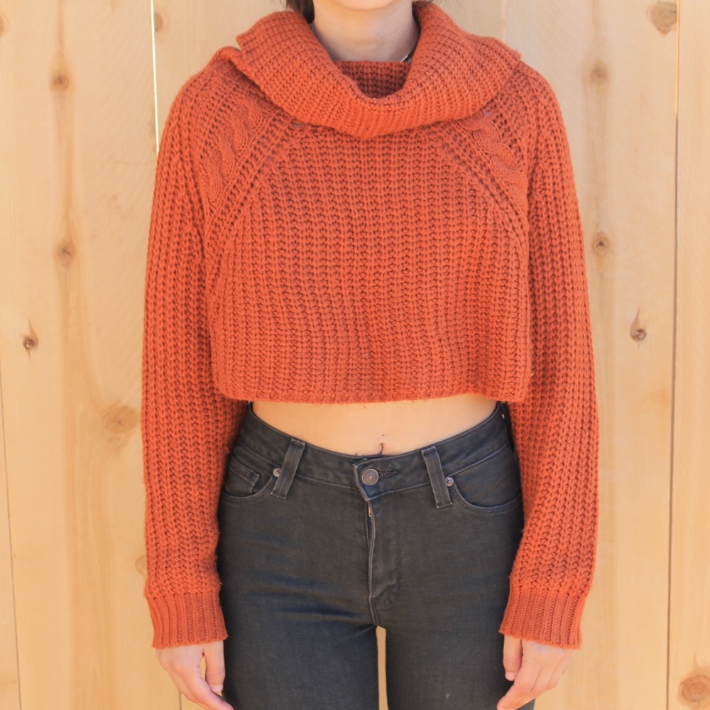 ❌SOLD❌ Burnt Orange Knit Crop Turtleneck Sweater